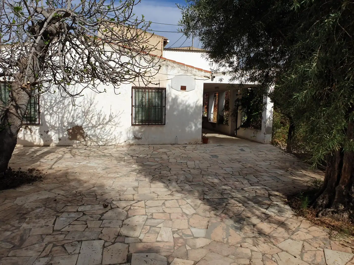 Exterior view of Houses for sale in Petrer  with Private garden
