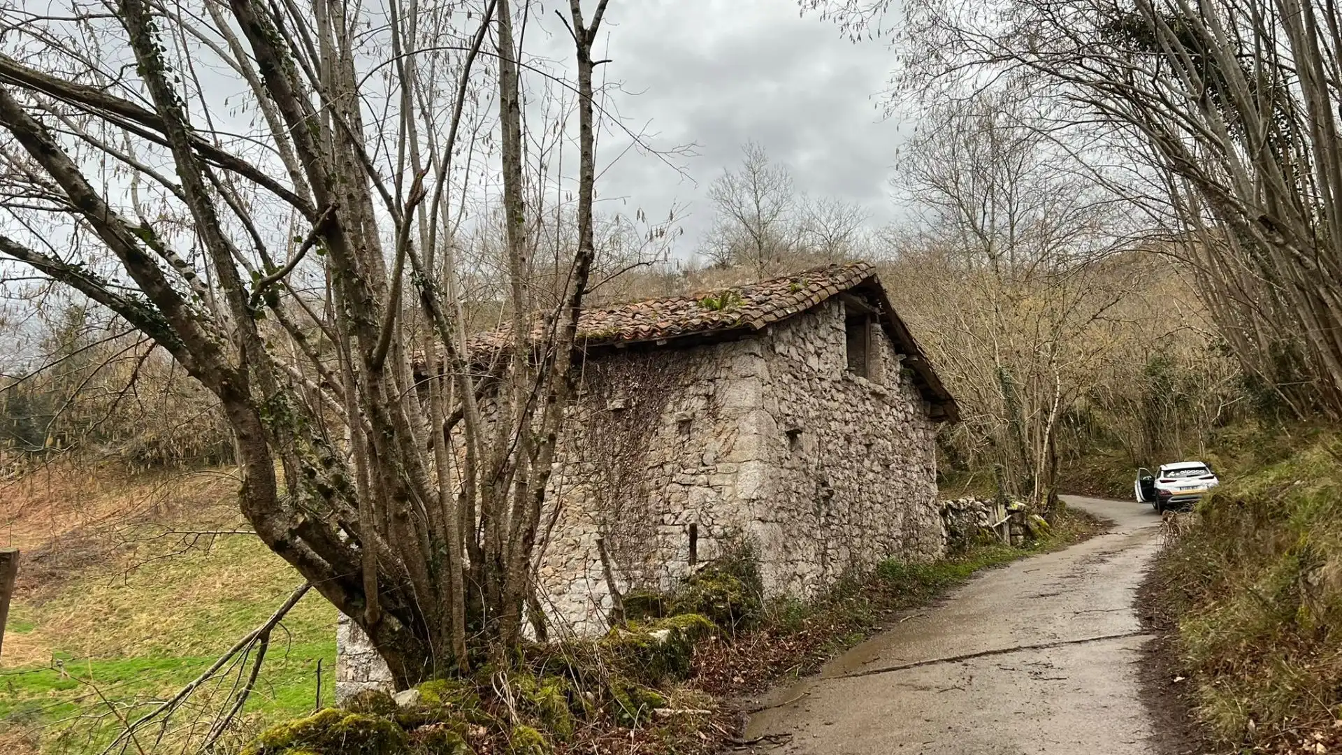 Terreno rustico in vendita a Cangas de Onís, imagen 7