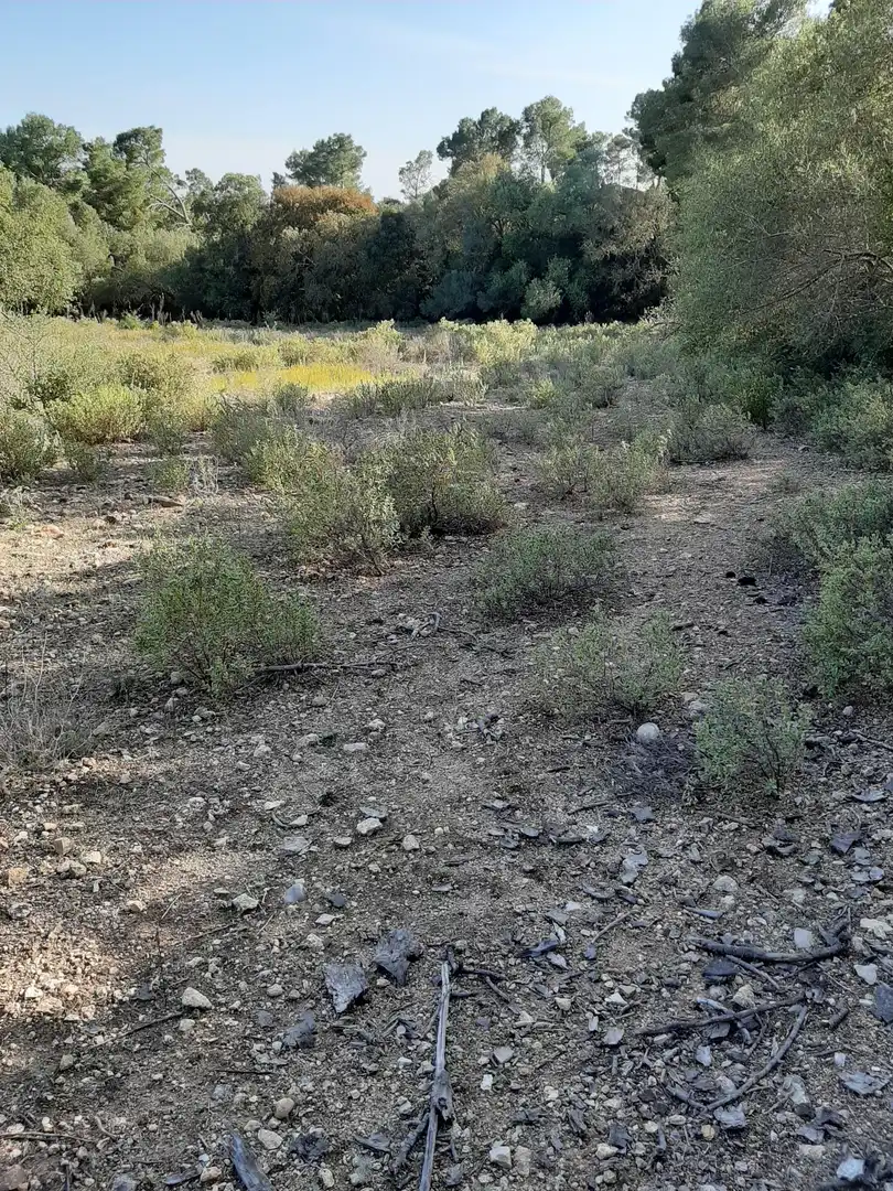 Terrain rustique à vendre à Sant Joan, imagen 6