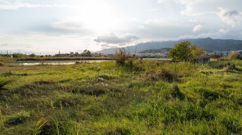 Finca rústica cerca de la población con una casa de aperos, imatge 2