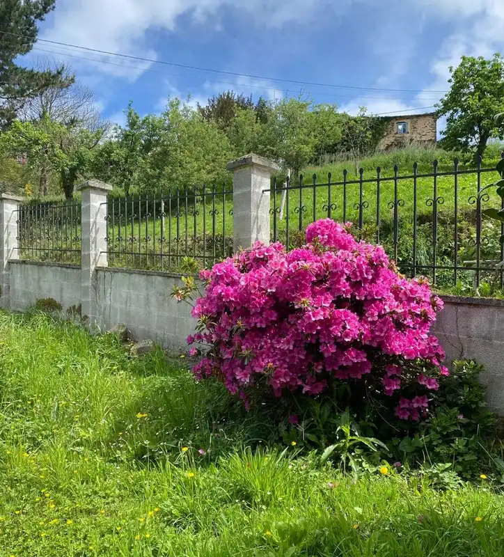 Jardín de Casa o chalet en venta en A Pontenova   con Calefacción, Jardín privado y Parquet