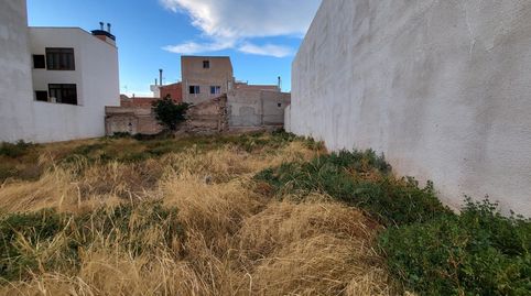 AlboxTerreno, immagine 2