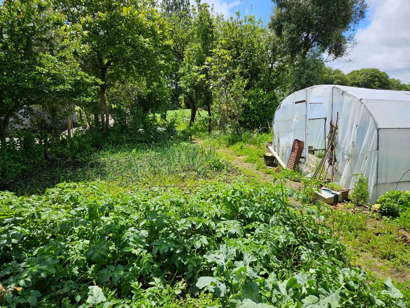 Casa rústica amb jardí en venda a Lugar Xunqueira 3, imagen 35