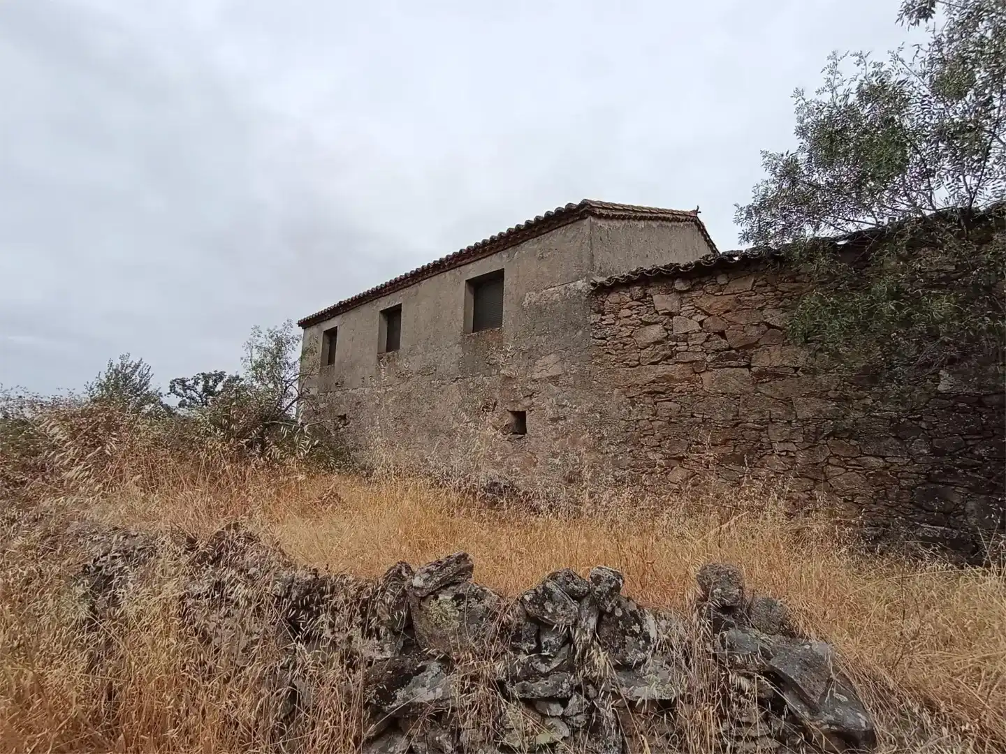 Vista exterior de Pis en venda en Fariza amb Jardí privat