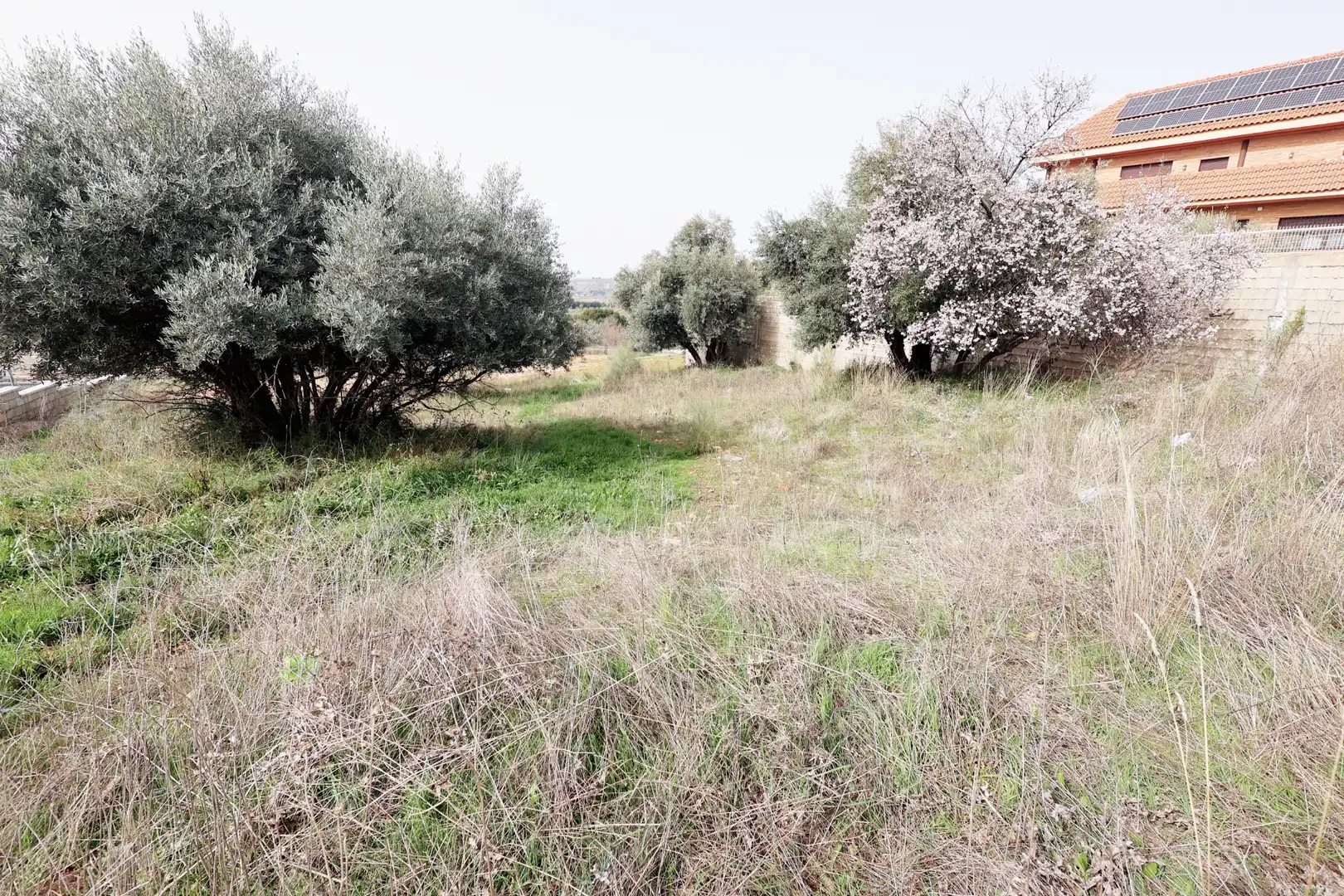 Land for sale in Mejorada del Campo