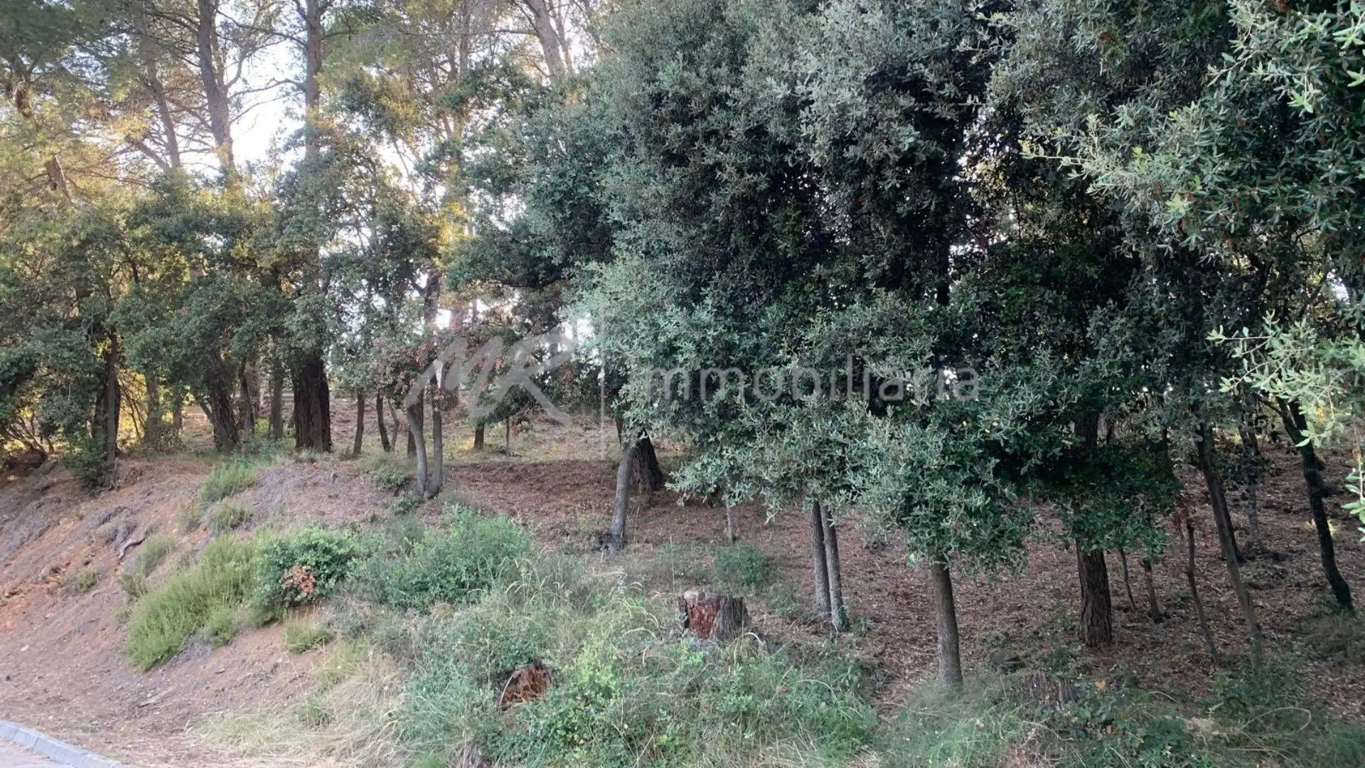 Terreny residencial en venda a Cànoves I Samalús, imagen 6