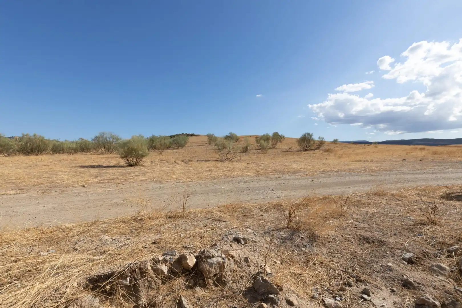 Terreno rustico in vendita a Polígono Polígono 6 Parcela 17 CAÑADA ESPARRAGAL. VILLA D 6, imagen 27