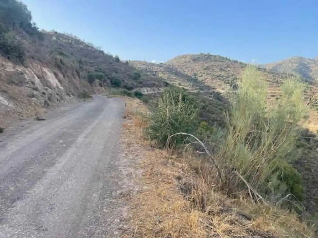 Terreny rústic en venda a Este, imagen 7