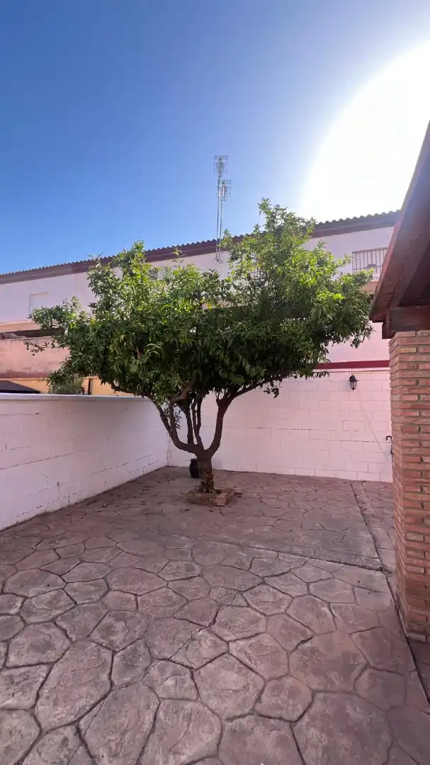 Casa de lloguer a Calle del Esturion, imagen 12