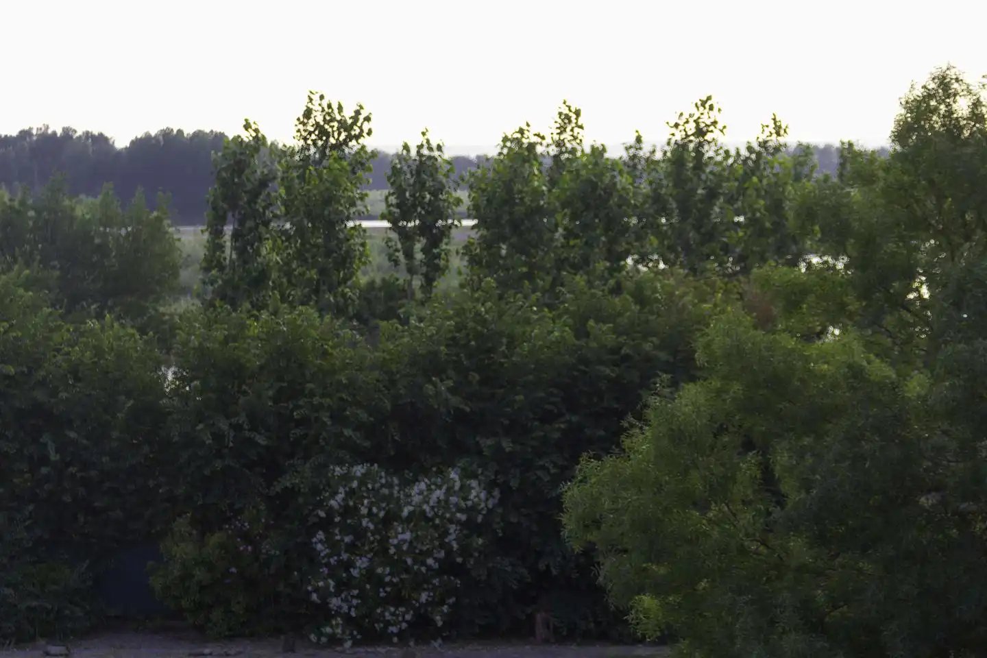 Jardí de Casa o xalet en venda en Alfaro amb Aire condicionat, Calefacció i Jardí privat