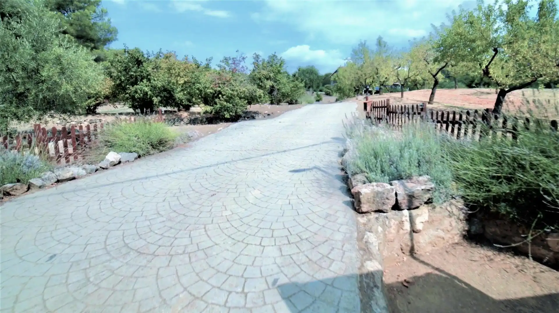 Vista exterior de Finca rústica en venda en Almoster amb Calefacció, Jardí privat i Terrassa