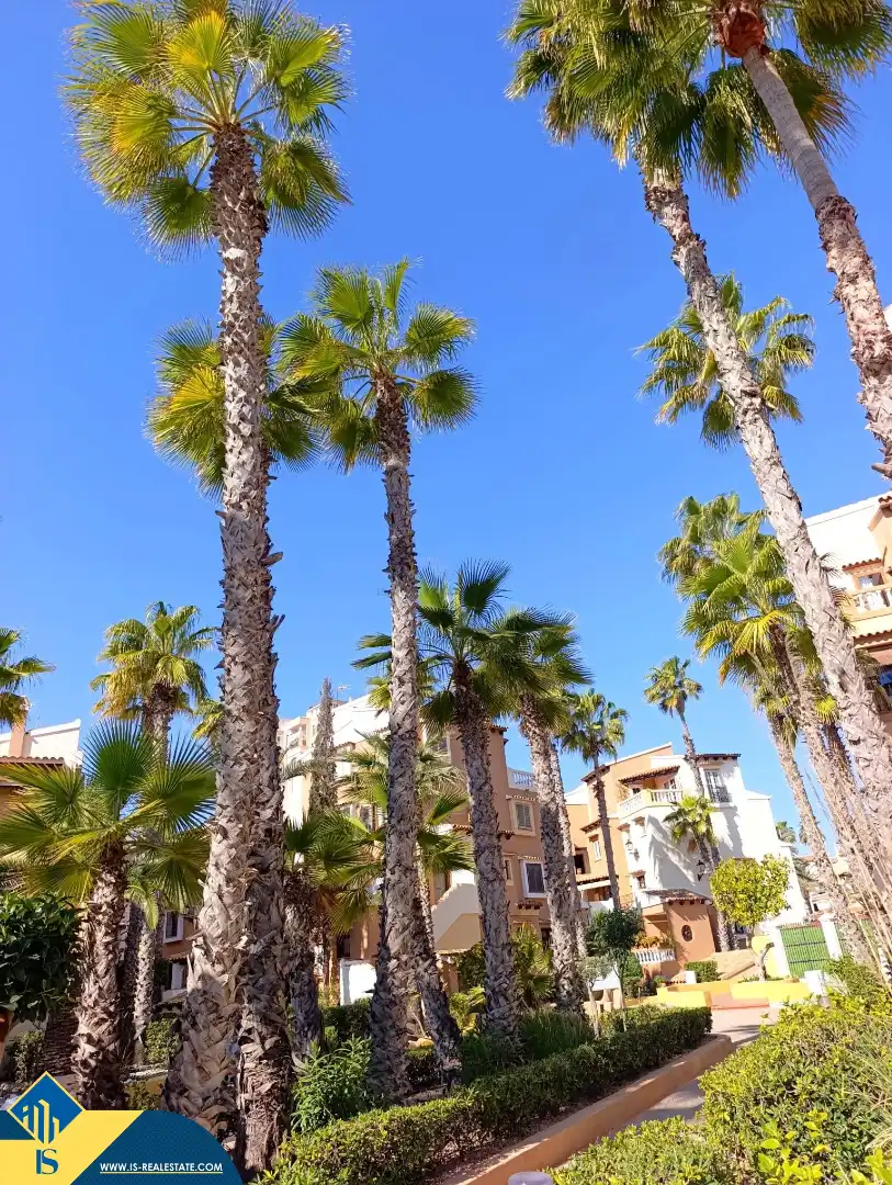 Appartamento con piscina in vendita a Playa de los Locos, imagen 71