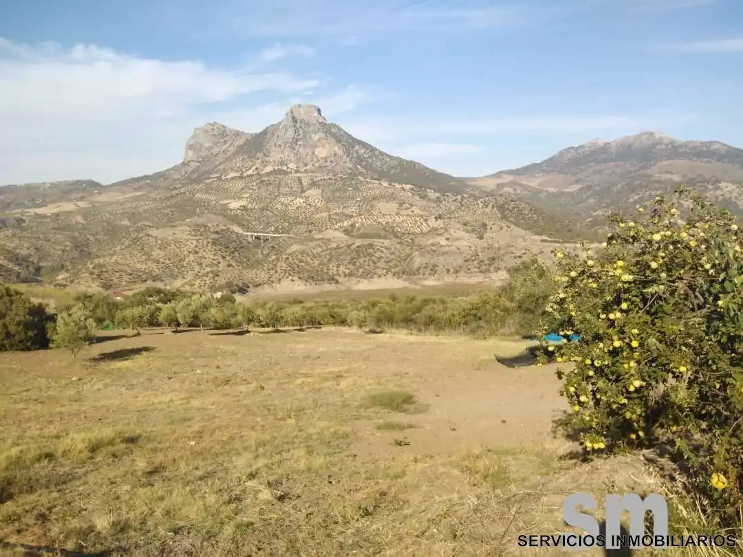 Terreno en venta en Zahara