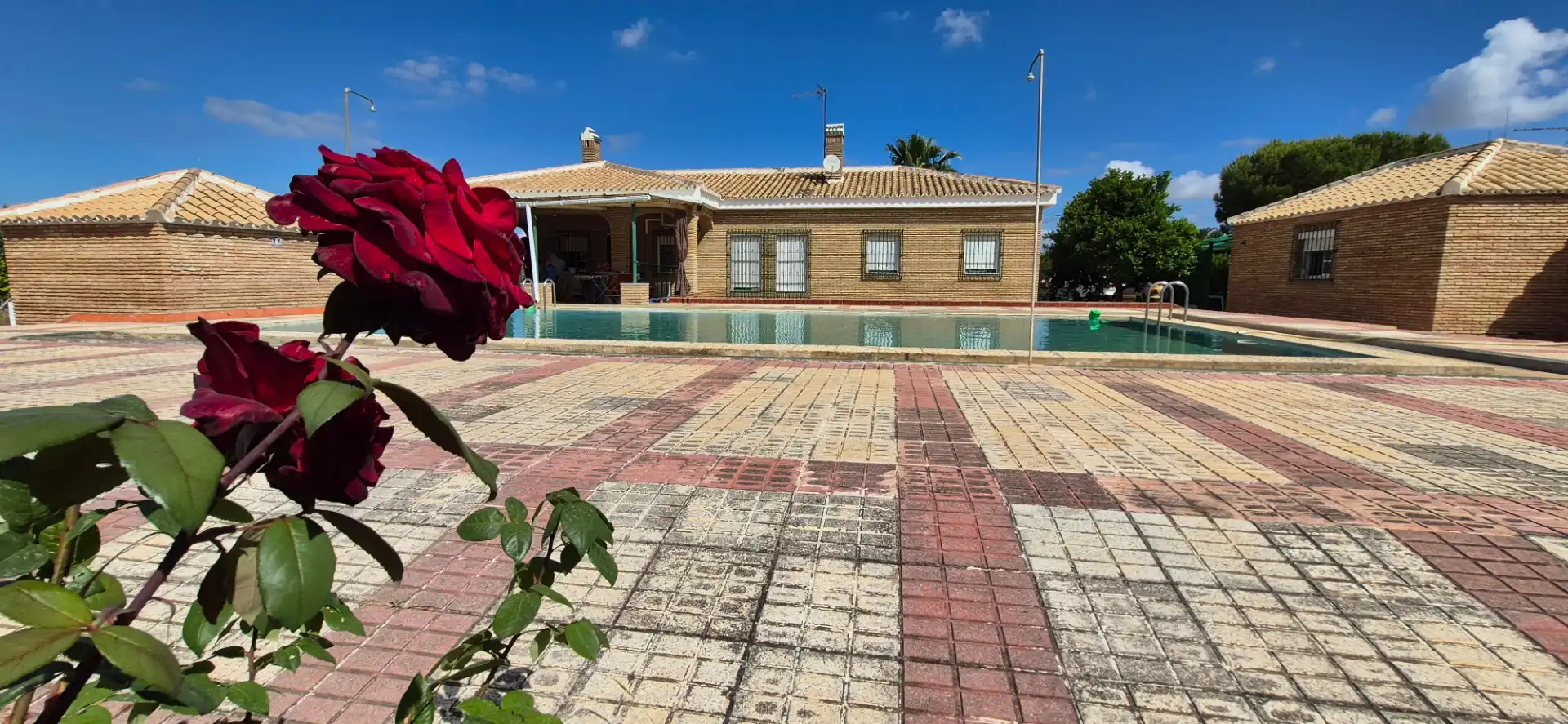 Vista exterior de Casa o chalet en venta en Carmona con Aire acondicionado, Calefacción y Jardín privado