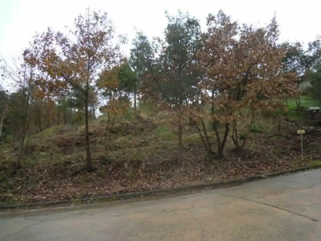 Terreny residencial en venda a Urbanización Junior Park, imagen 2