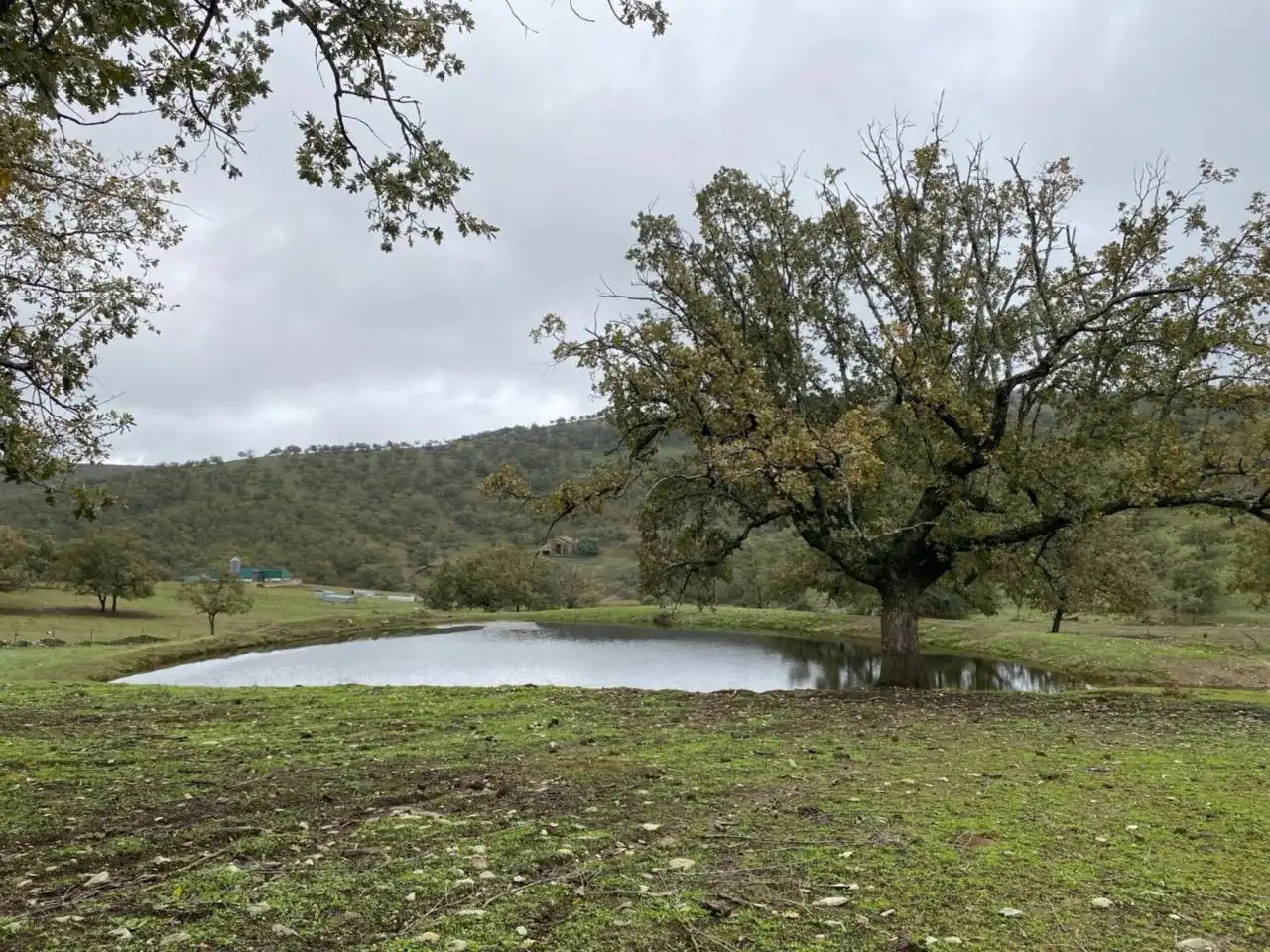 Terreni e lotti in vendita a Calle Calle Lazareto