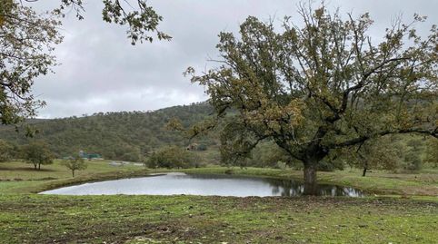 Terreno en venta en Madroñera