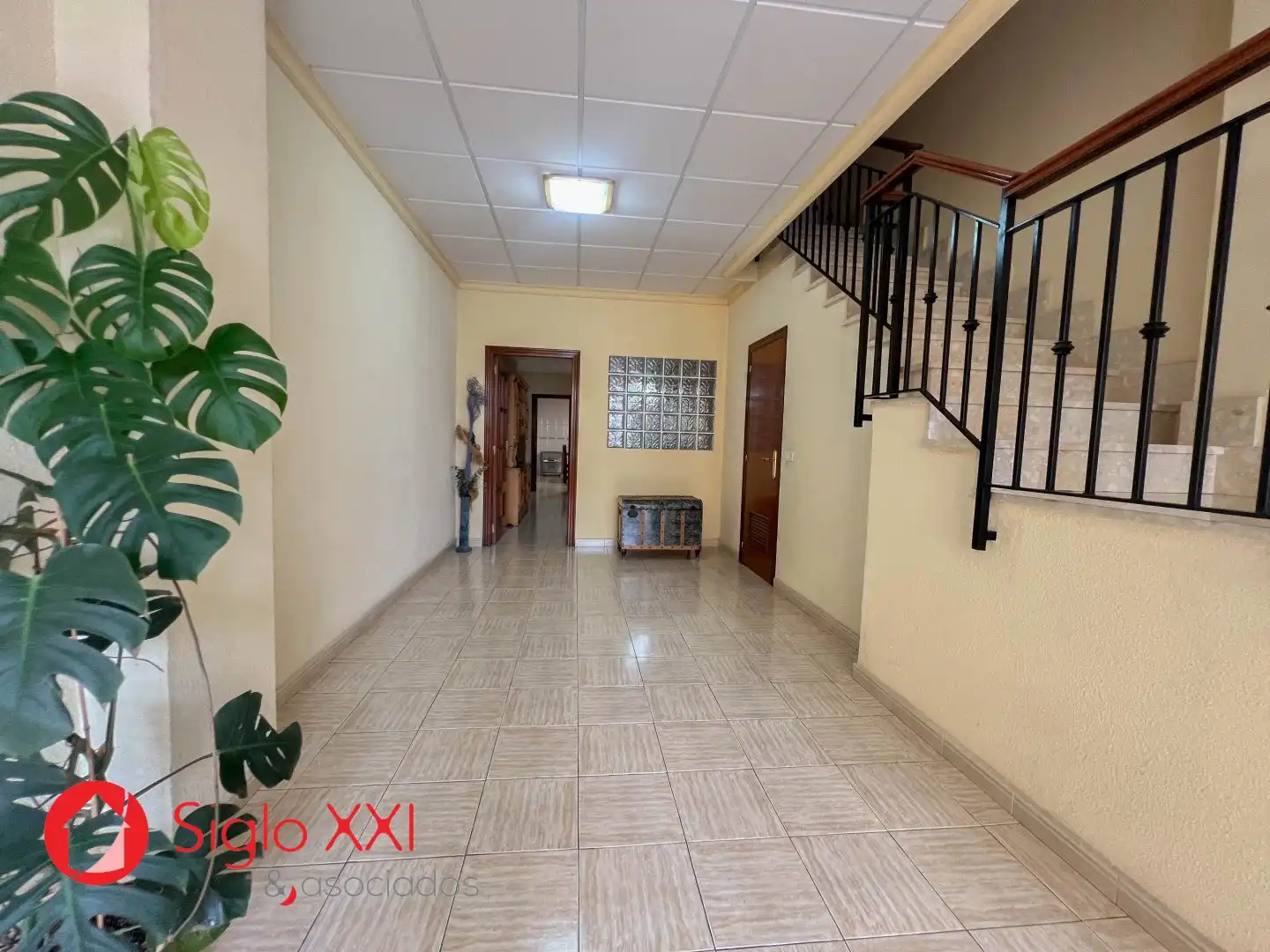 House with terrace for sale in El Pilar, imagen 4