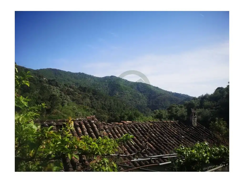 Vista exterior de Finca rústica en venda en Jubrique