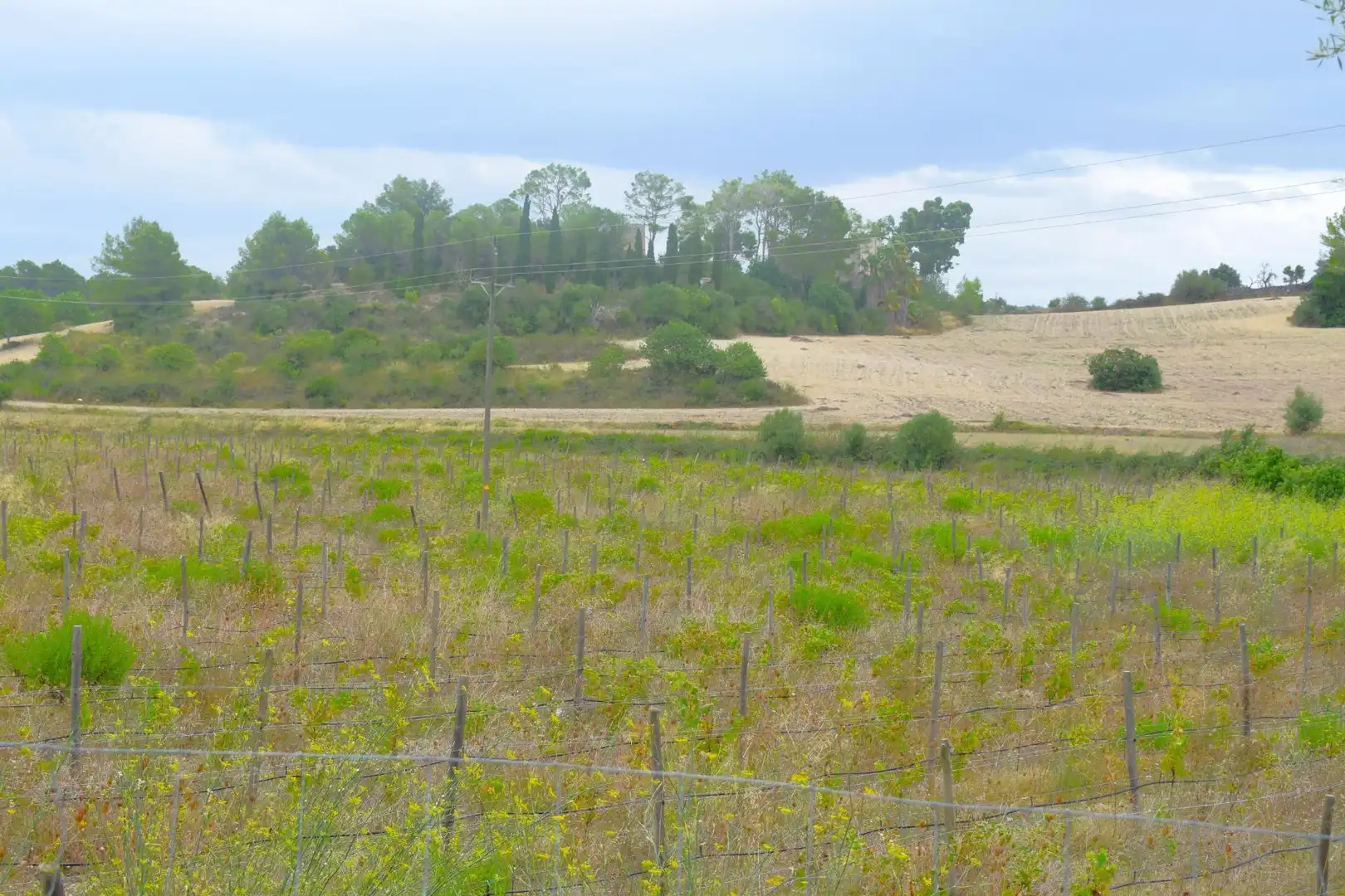 Residential land for sale in Santa Margalida Poble