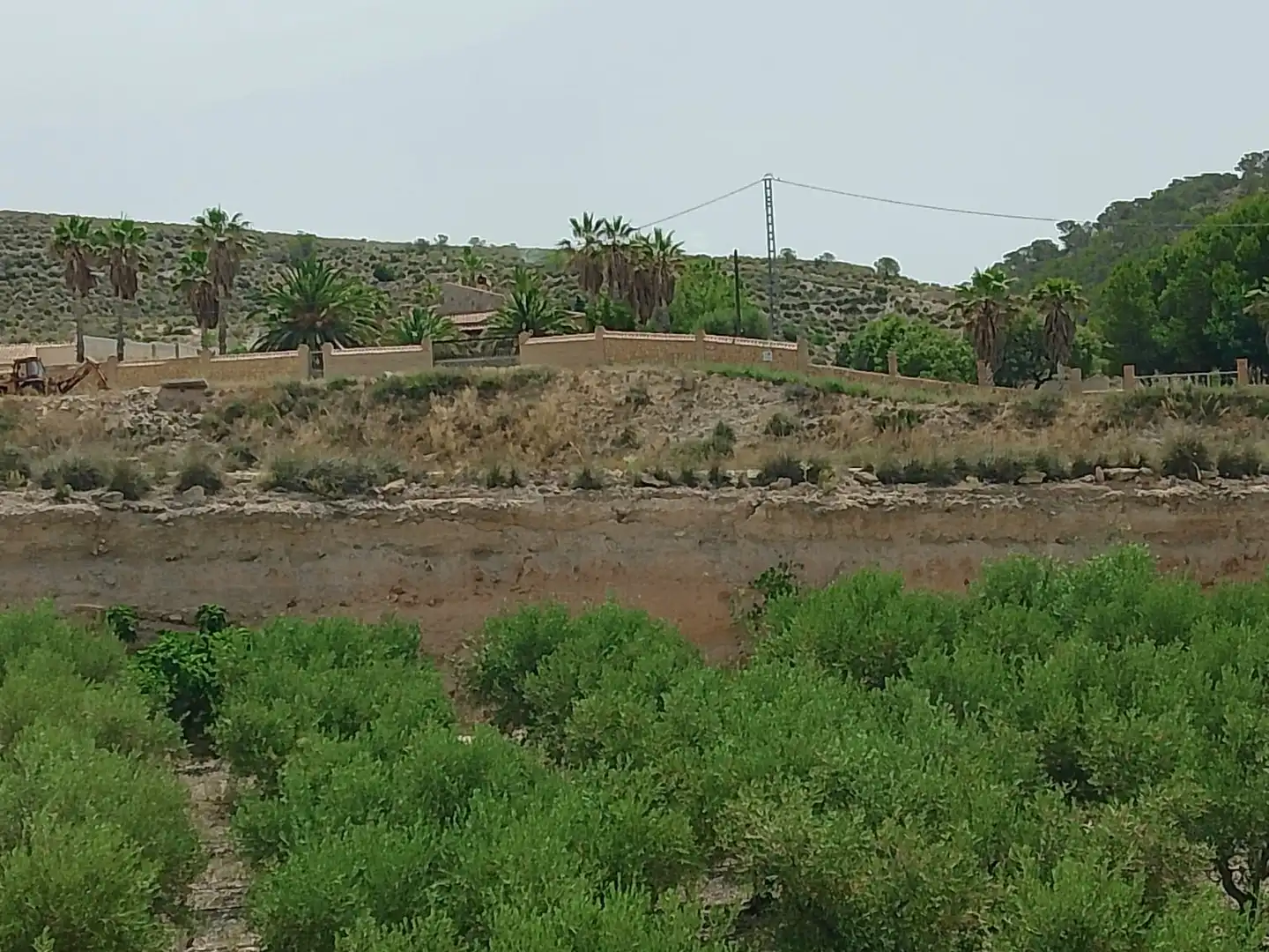 Terreny rústic en venda a Partida Rochet, imagen 2