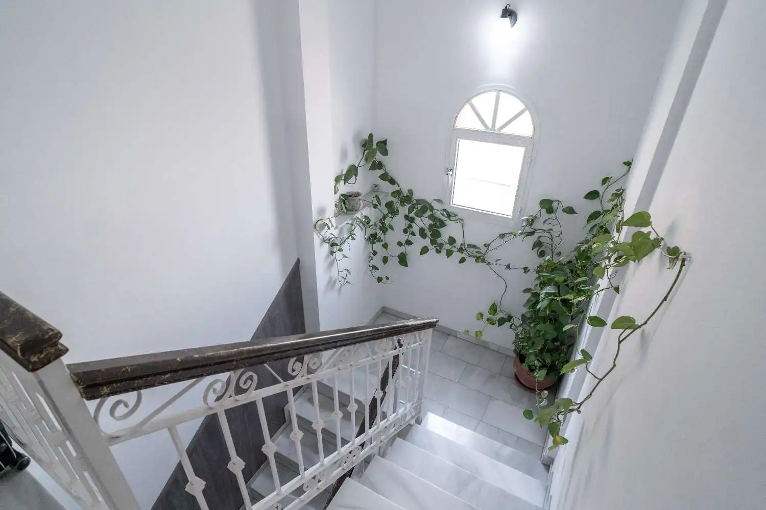 Casa o xalet en venda a Hispanidad - Vivar Téllez