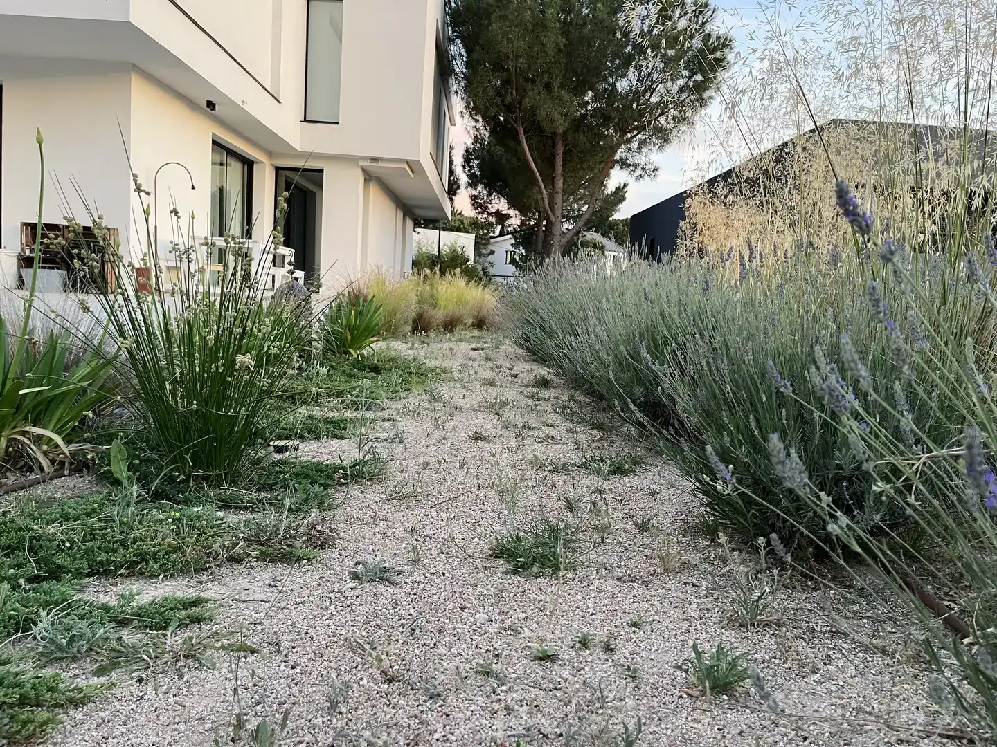 Garden of Houses for sale in Los Peñascales