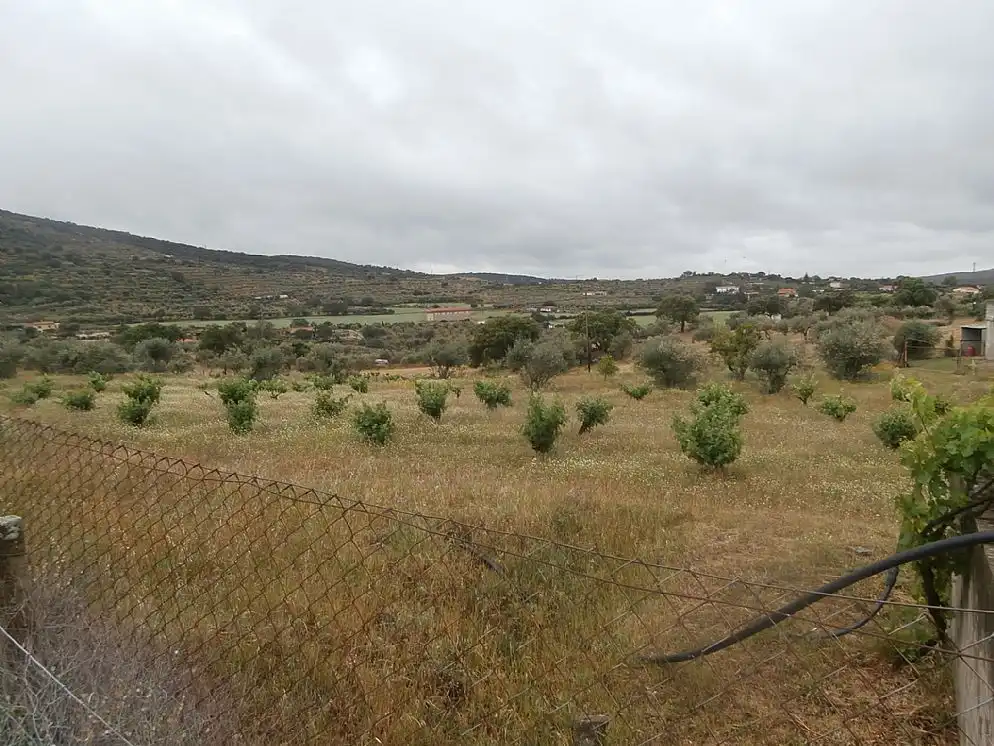 Terreni e lotti in vendita a Paraje Arroyo De Marta, imagen 7