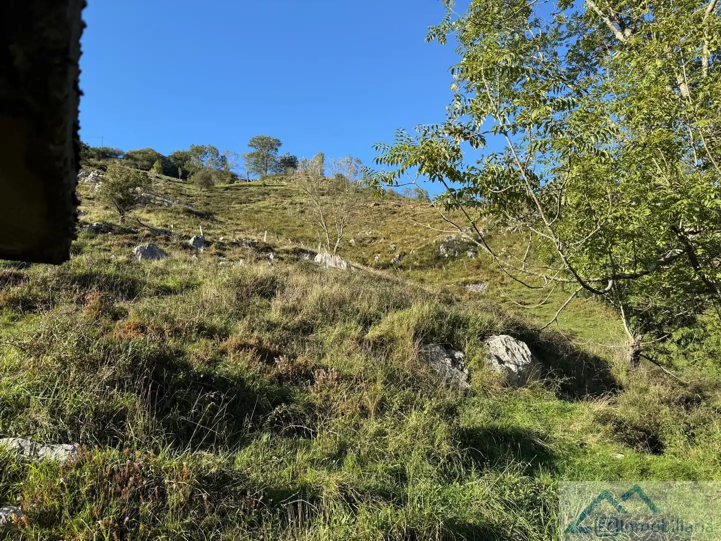 Finca rústica en venta en Ruesga