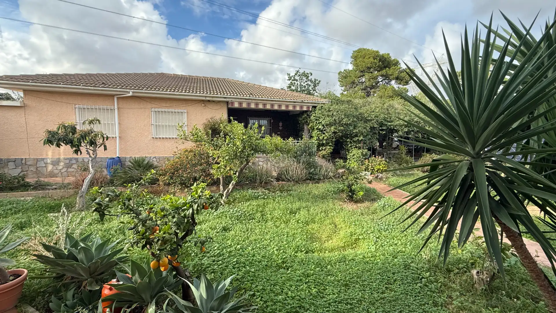 Garden of Flat for rent in San Vicente del Raspeig / Sant Vicent del Raspeig  with Furnished and Pets allowed