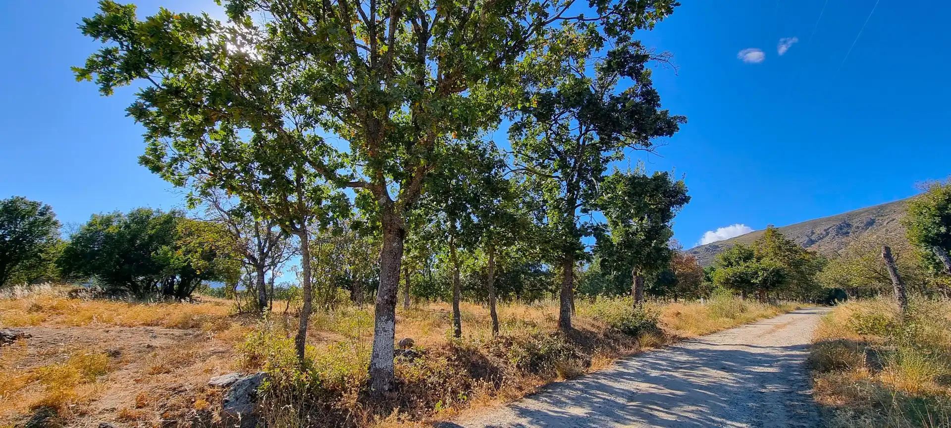 Terreno rustico in vendita a Carretera de Valdemanco 33, imagen 11