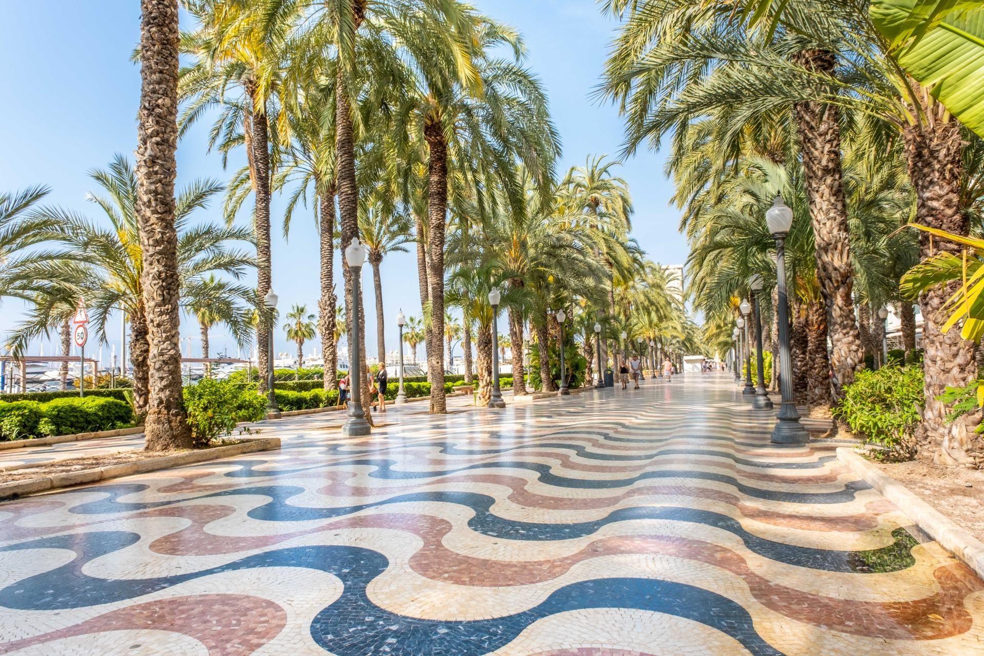 Vista exterior de Pis en venda en Alicante / Alacant amb Balcó