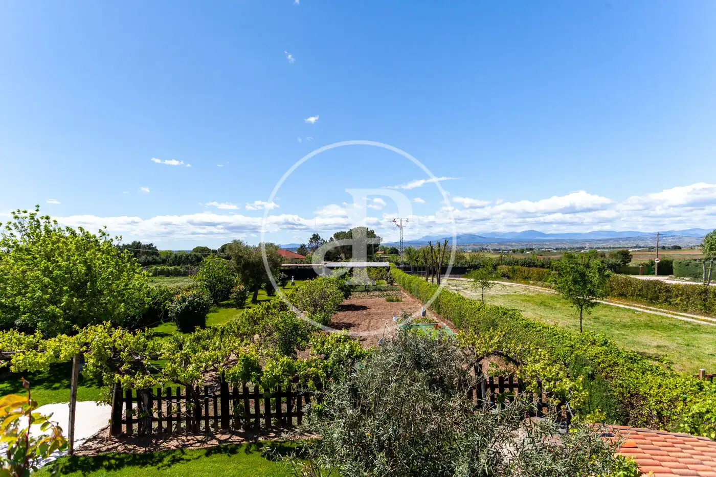 Jardí de Casa o xalet en venda en Fuente El Saz de Jarama amb Calefacció, Jardí privat i Terrassa