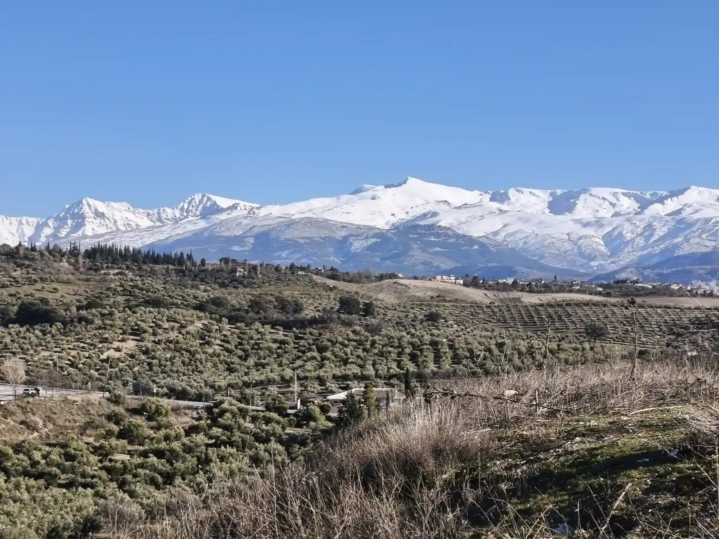 Lands and plots for sale in Alfacar, imagen 11