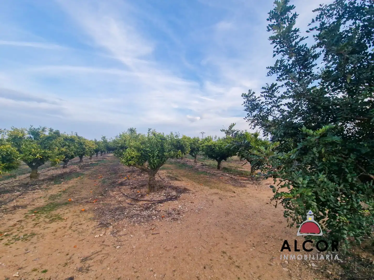 Finca rústica en venda en Càlig