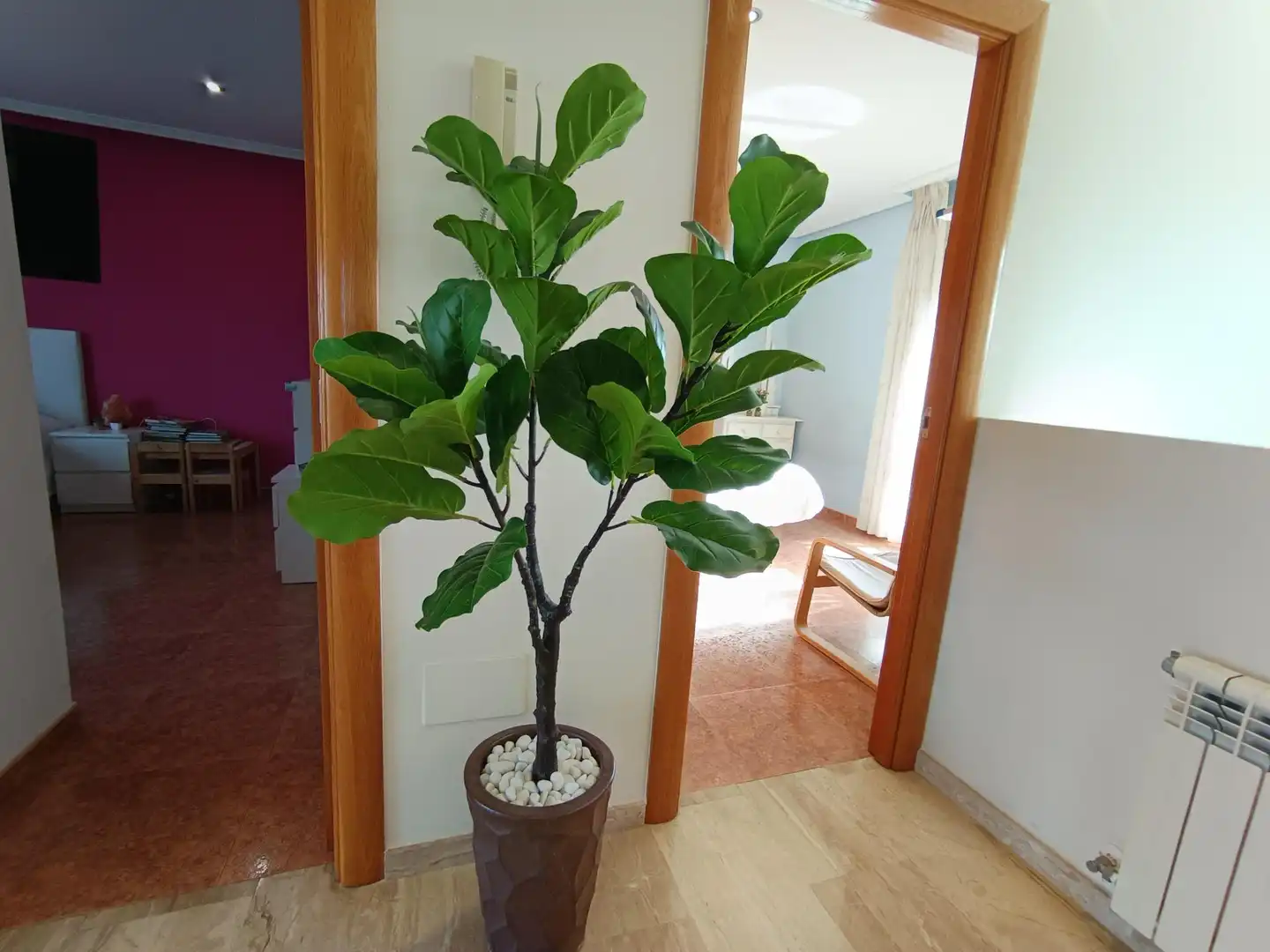 Jardí de Casa o xalet en venda en Murcia amb Aire condicionat, Calefacció i Jardí privat