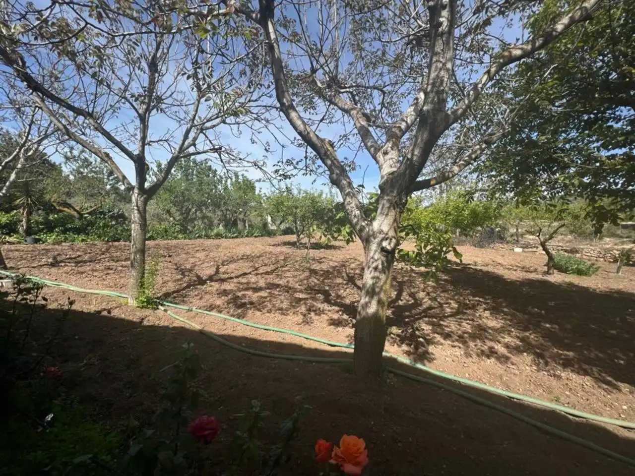 Chalet con jardín en venta en Calle Poligono, imagen 17