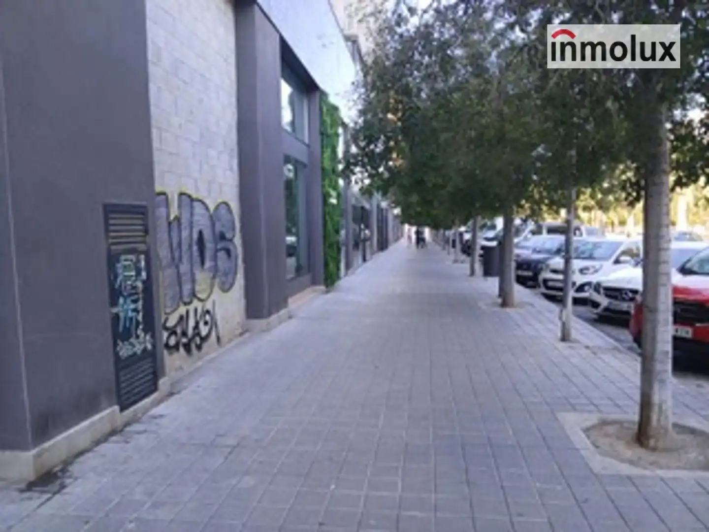 Local comercial de lloguer a Avenida Historiador Vicente Ramos, imagen 4