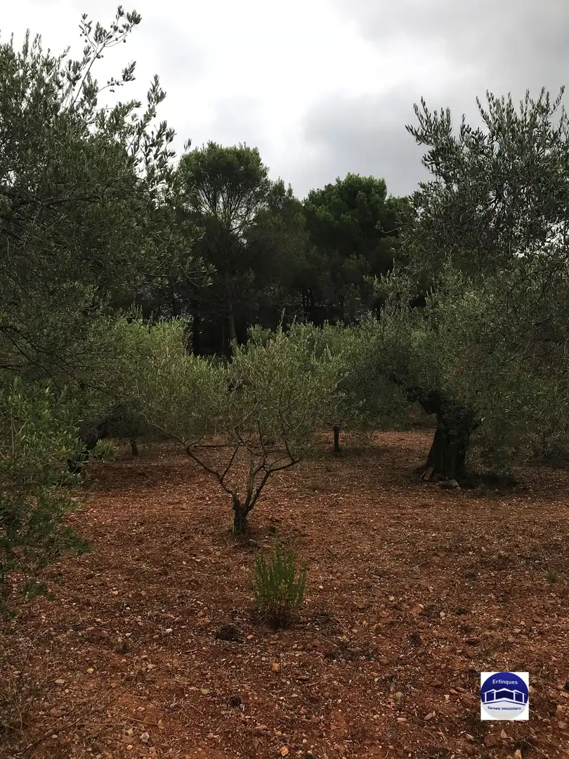 Residencial en venda en Terrassa