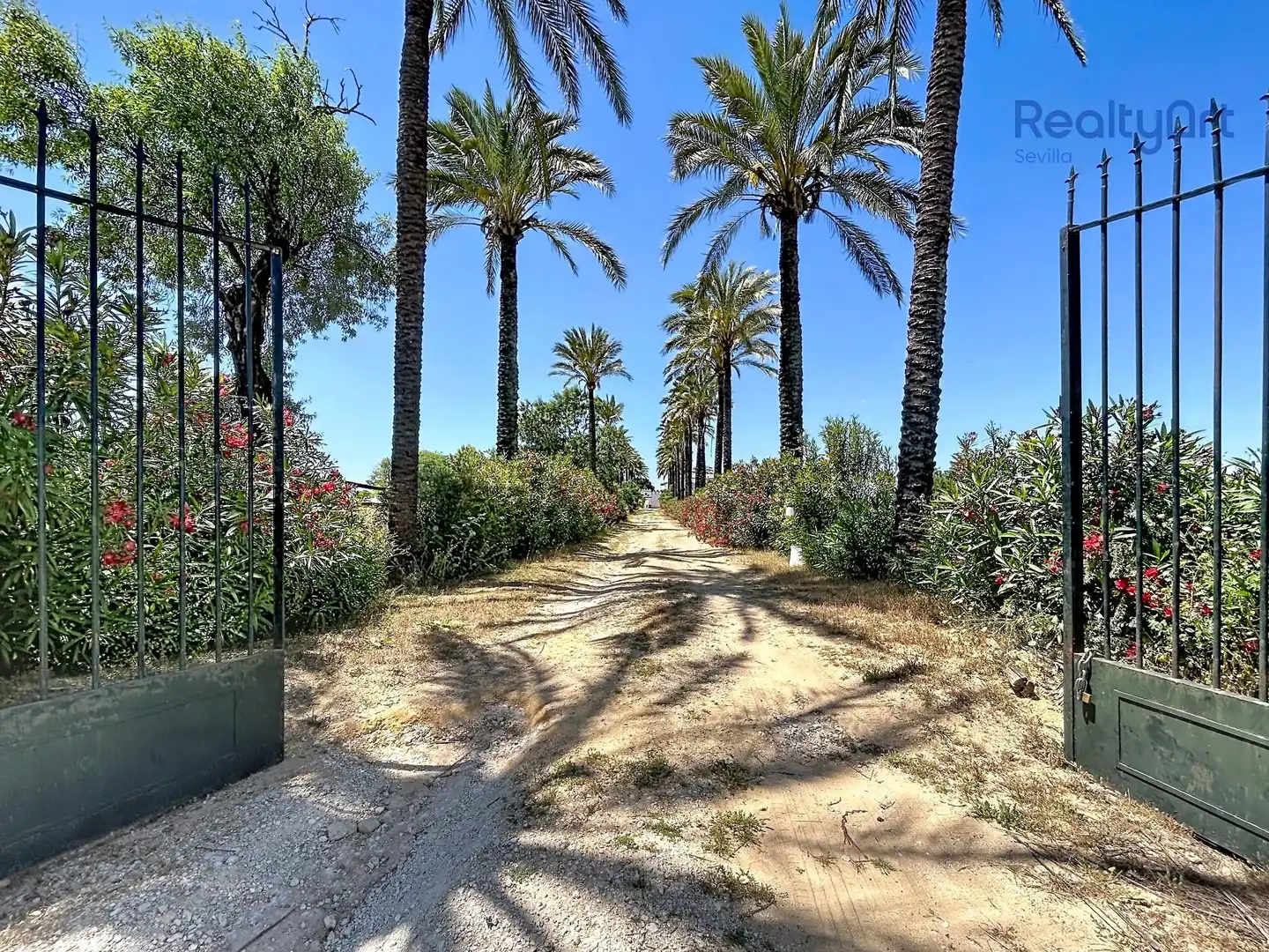 Vista exterior de Finca rústica en venta en Bollullos de la Mitación con Jardín privado y Piscina