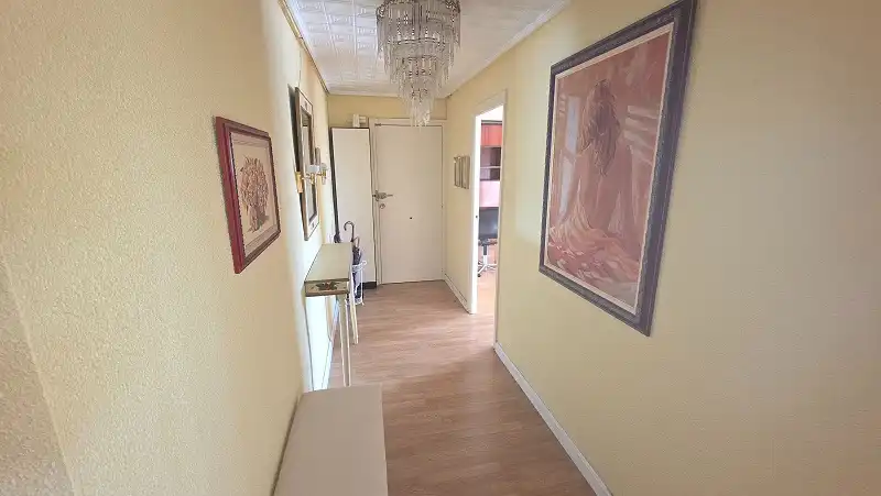 Pis en venda en Elche / Elx amb Parquet, Moblat i Balcó
