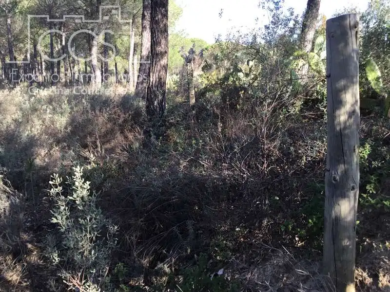 Terreni e lotti in vendita a Almonte ciudad, imagen 24