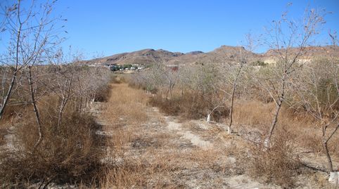 se vende finca rustica, immagine 4