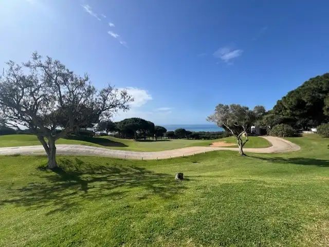 Vista exterior de Planta baixa en venda en Marbella amb Aire condicionat, Calefacció i Jardí privat