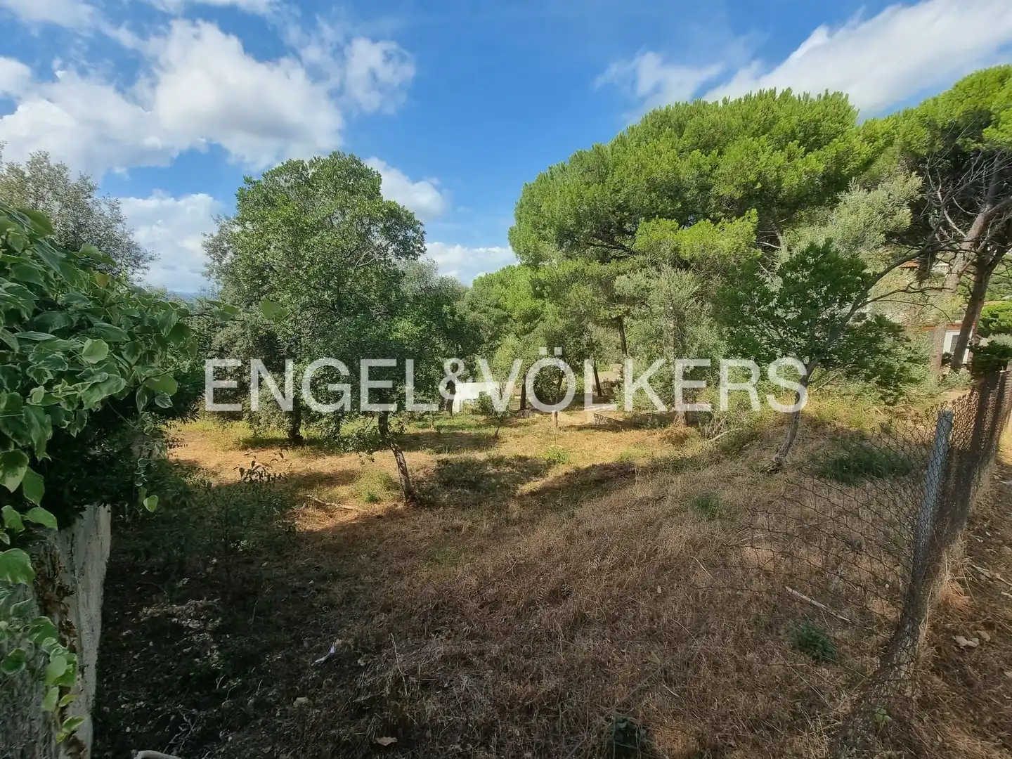 Terreno residencial en venta en Mas Mora - Sant Daniel, imagen 8