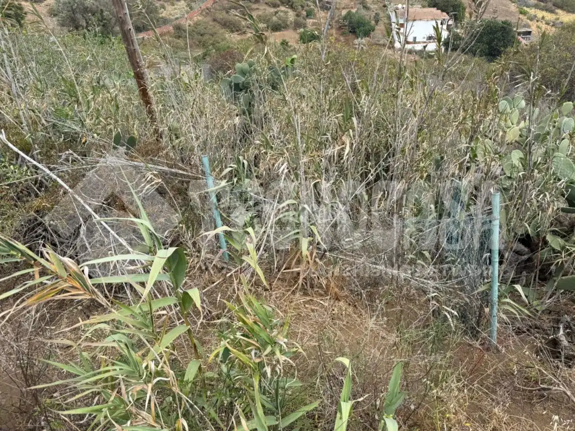 Terrain rustique à vendre à Los Alvarados - Fuente los Berros - Bandama, imagen 6