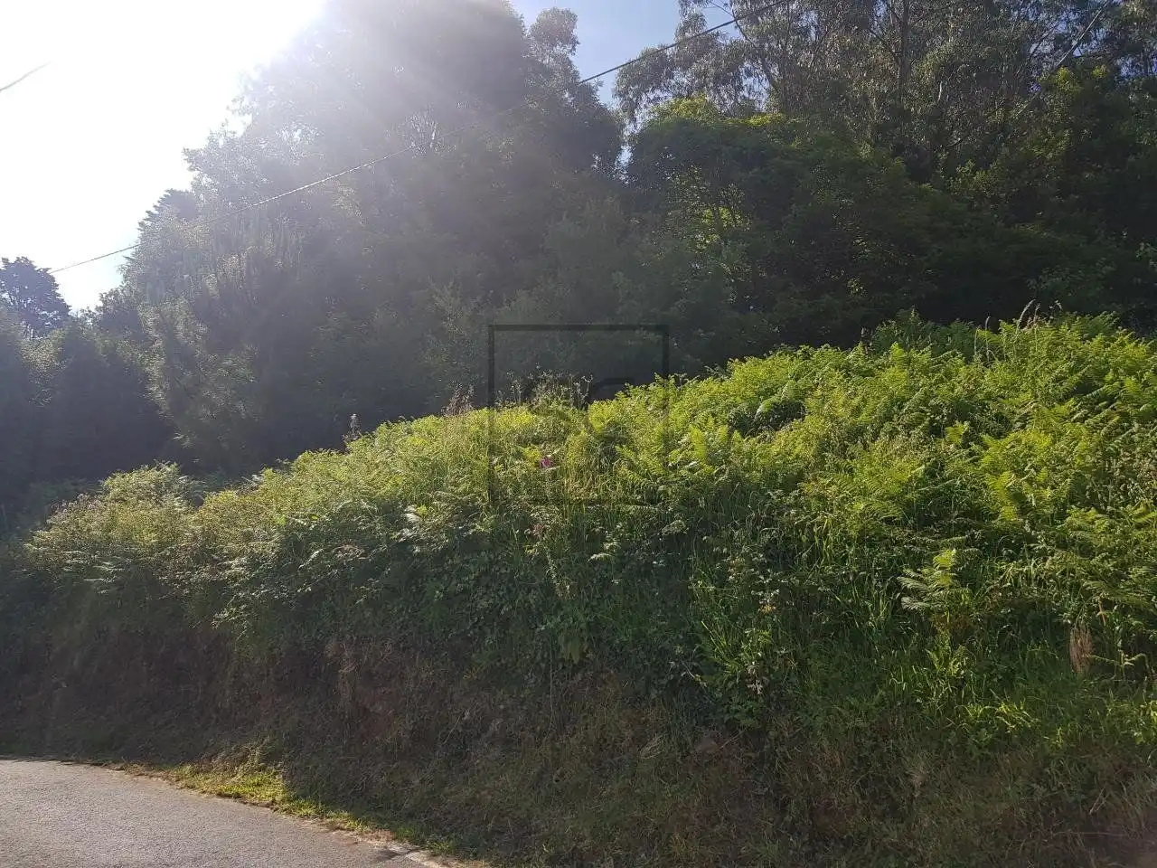 Casa o chalet en venta en Neda con Calefacción y Jardín privado