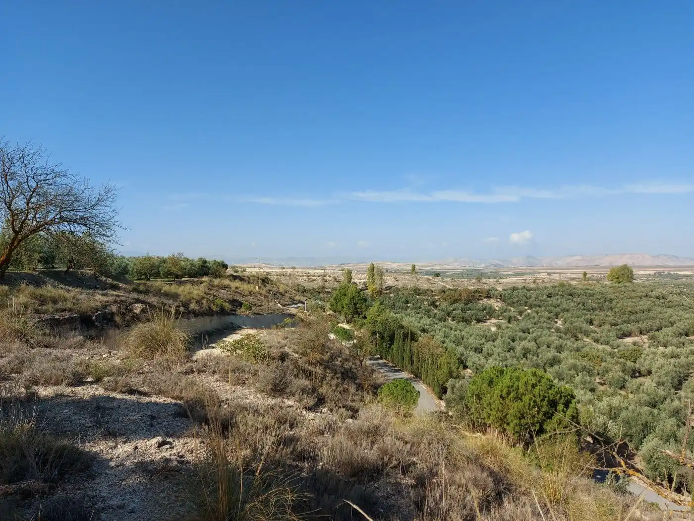 Maison à vendre à Cuevas del Campo, imagen 20