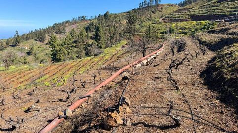 Foto 2 de Terreno en venta en N/a, Tijarafe, Santa Cruz de Tenerife