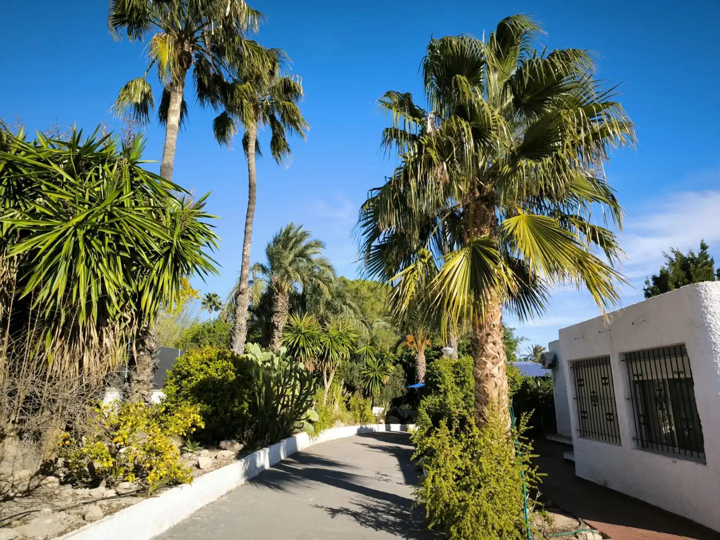 Villa avec piscine à vendre à Peña de las Águilas, imagen 3